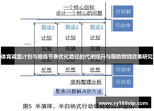 体育减重计划与晚练节奏优化路径的代谢提升与脂肪燃烧效果研究