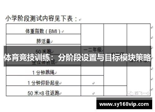 体育竞技训练：分阶段设置与目标模块策略